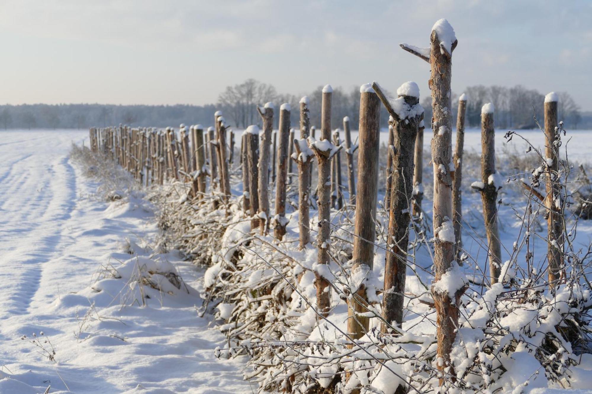 Naturgarten Karlsfeld In Der Schoenen Lausitz Welzow Zewnętrze zdjęcie
